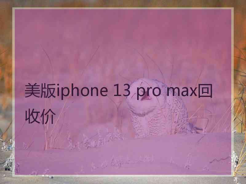 美版iphone 13 pro max回收价