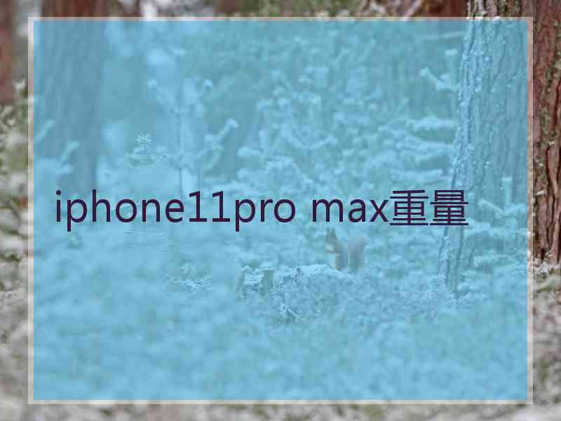 iphone11pro max重量