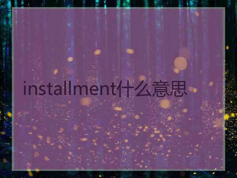 installment什么意思