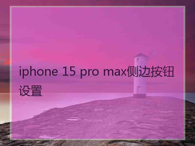 iphone 15 pro max侧边按钮设置