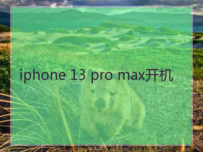 iphone 13 pro max开机