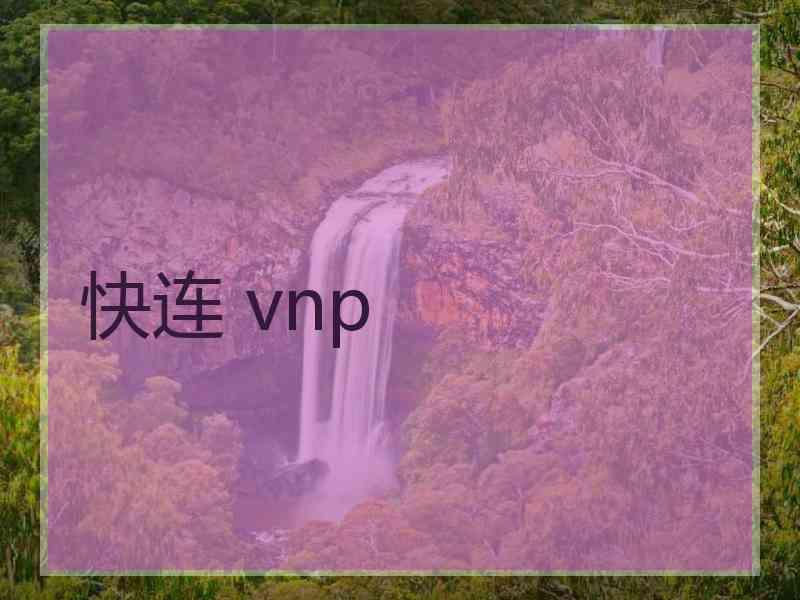 快连 vnp