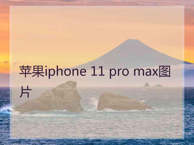 苹果iphone 11 pro max图片