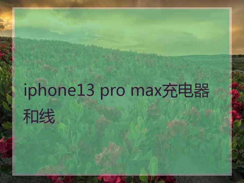 iphone13 pro max充电器和线