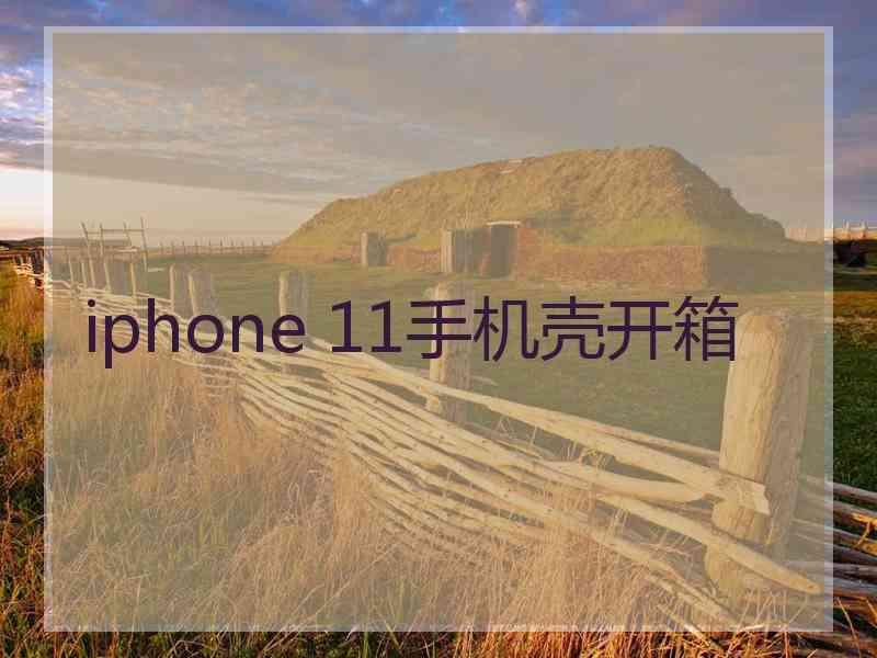 iphone 11手机壳开箱