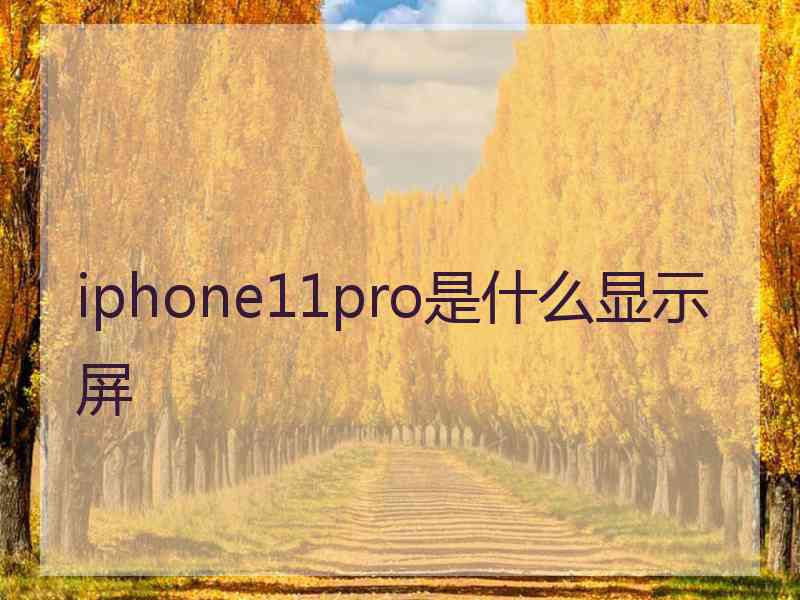 iphone11pro是什么显示屏