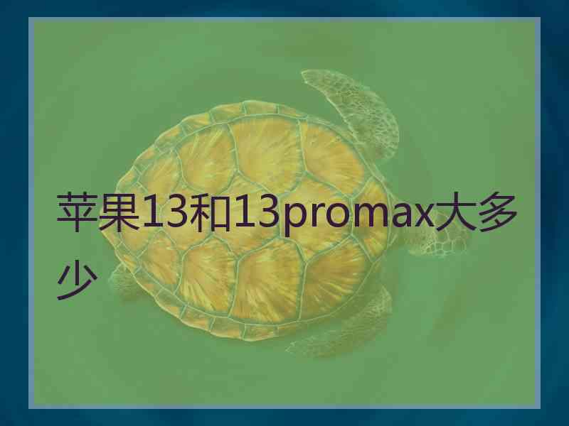 苹果13和13promax大多少