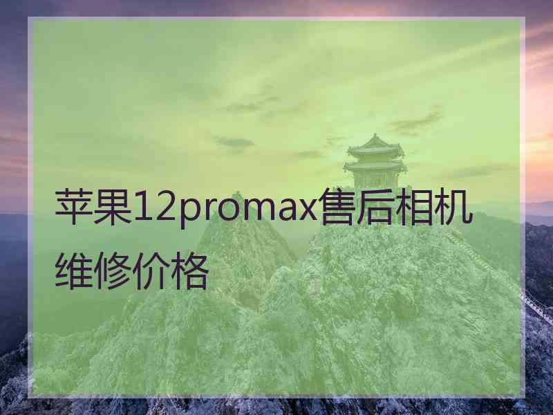 苹果12promax售后相机维修价格