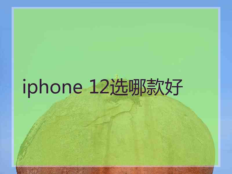 iphone 12选哪款好