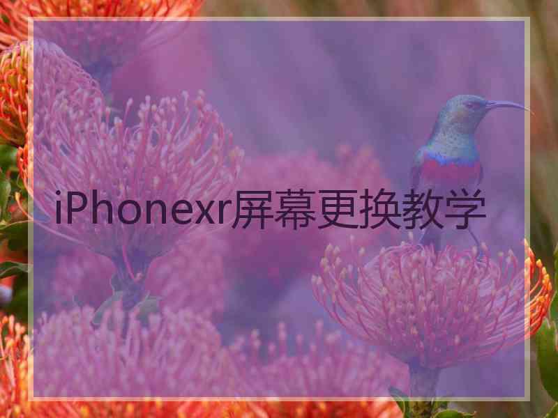 iPhonexr屏幕更换教学