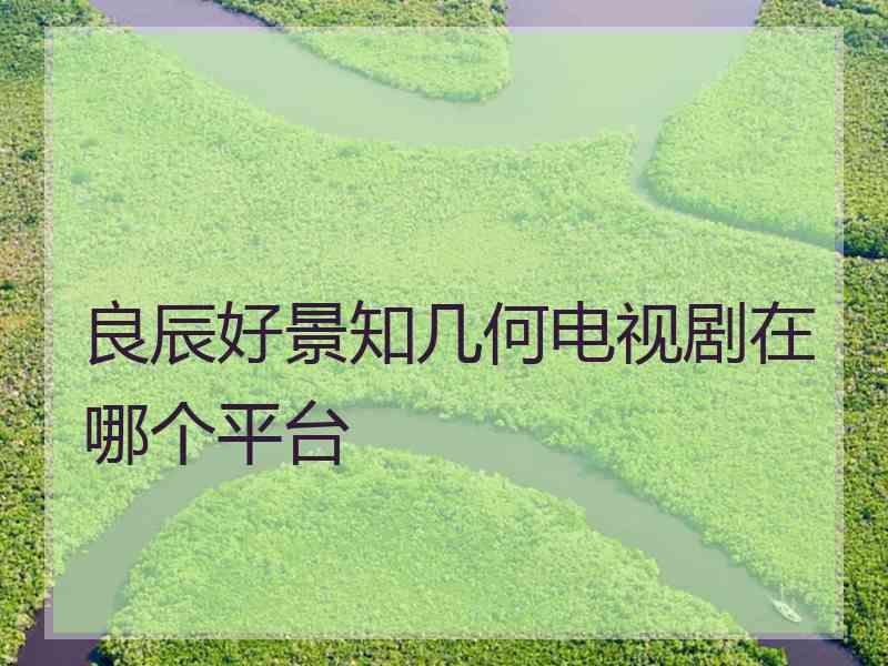 良辰好景知几何电视剧在哪个平台