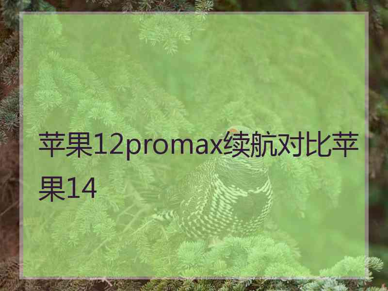 苹果12promax续航对比苹果14