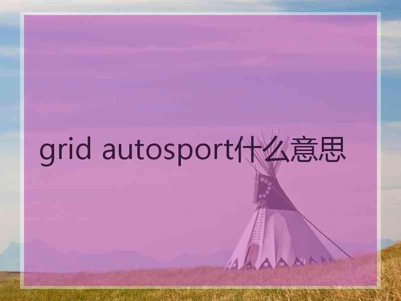 grid autosport什么意思