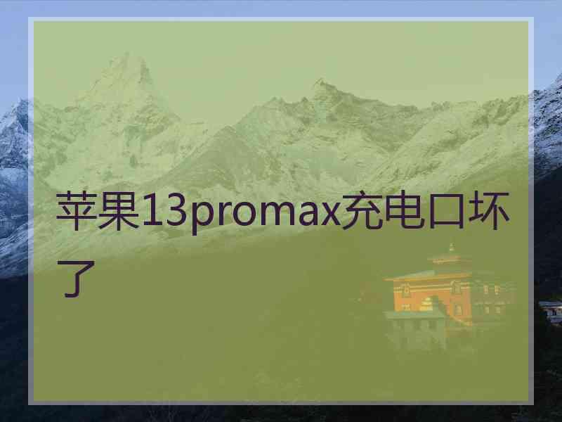 苹果13promax充电口坏了