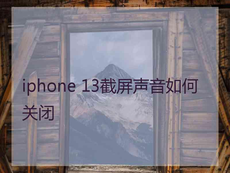 iphone 13截屏声音如何关闭