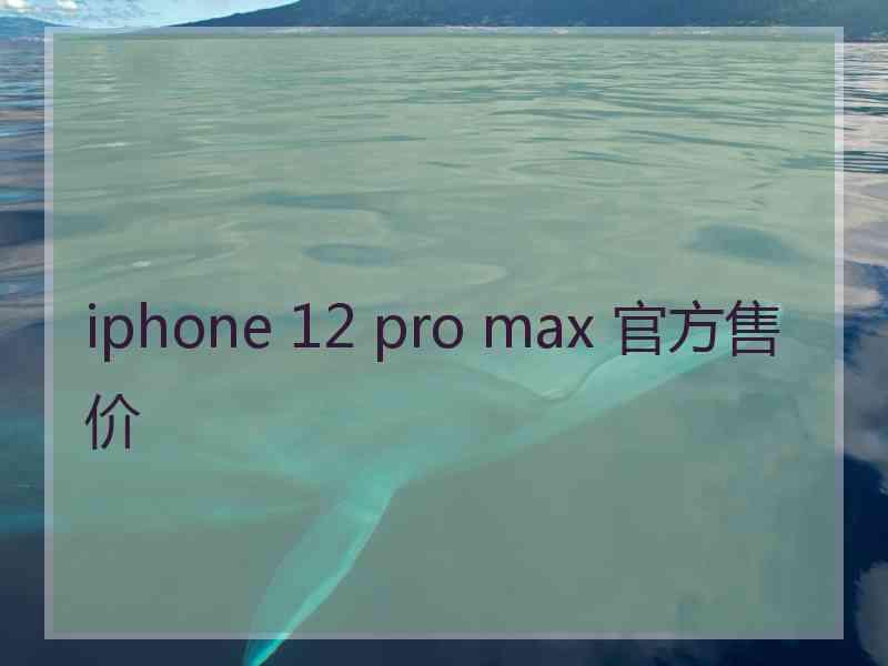 iphone 12 pro max 官方售价