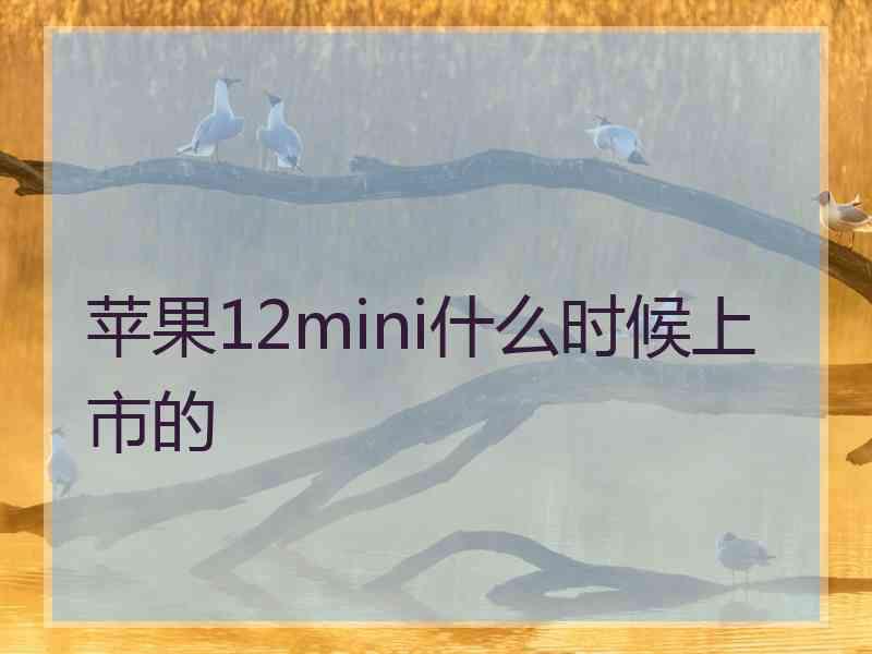 苹果12mini什么时候上市的