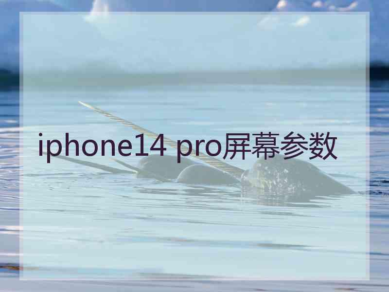 iphone14 pro屏幕参数