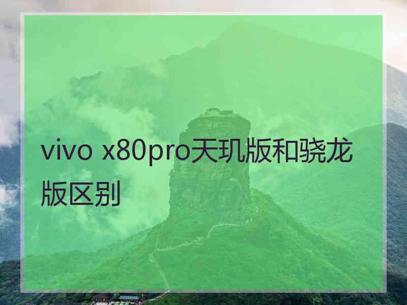 vivo x80pro天玑版和骁龙版区别