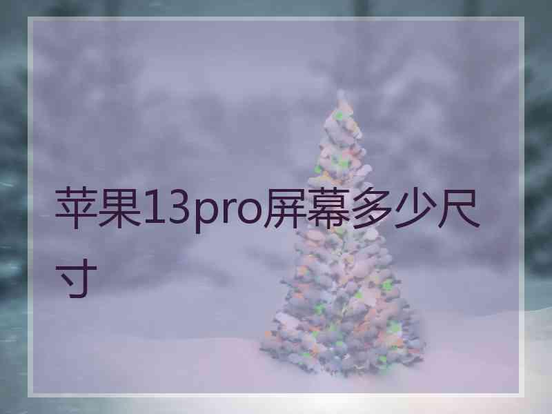 苹果13pro屏幕多少尺寸