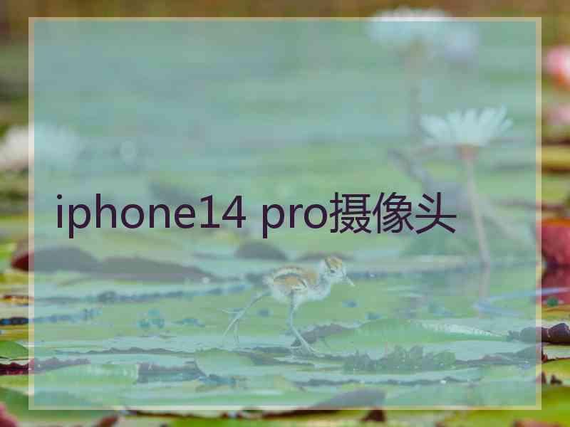 iphone14 pro摄像头