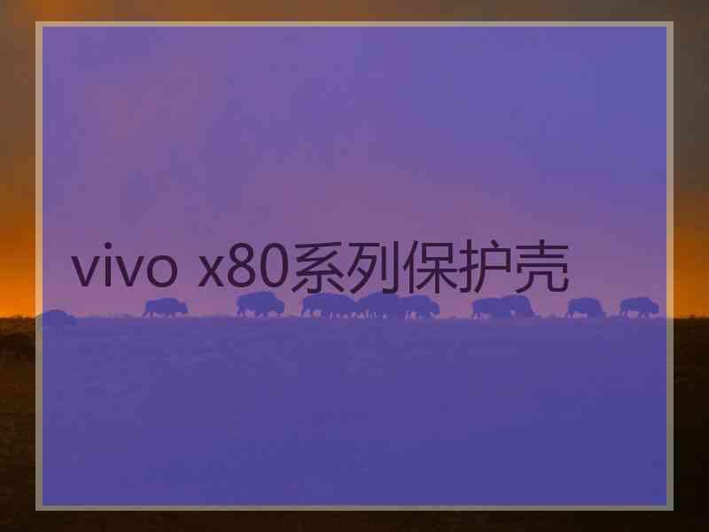 vivo x80系列保护壳