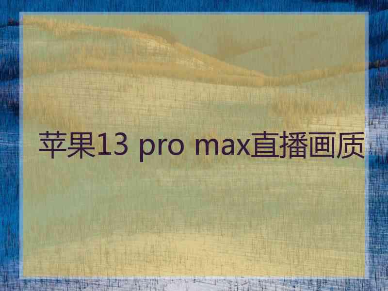 苹果13 pro max直播画质