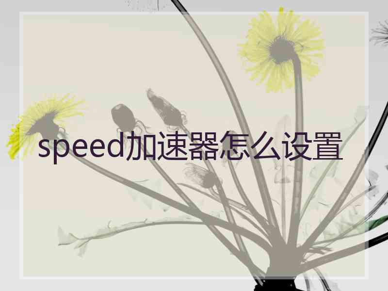 speed加速器怎么设置