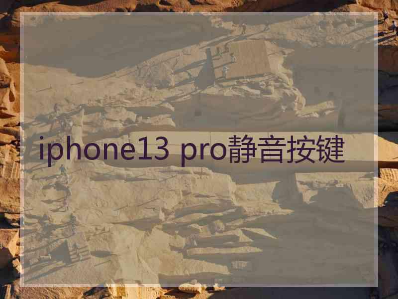 iphone13 pro静音按键