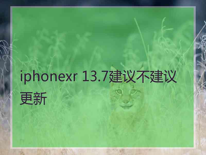 iphonexr 13.7建议不建议更新