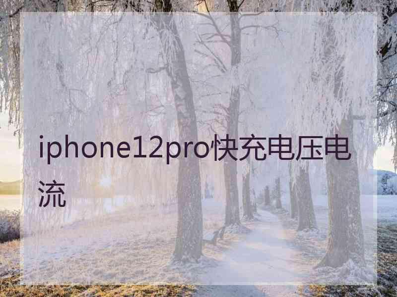 iphone12pro快充电压电流