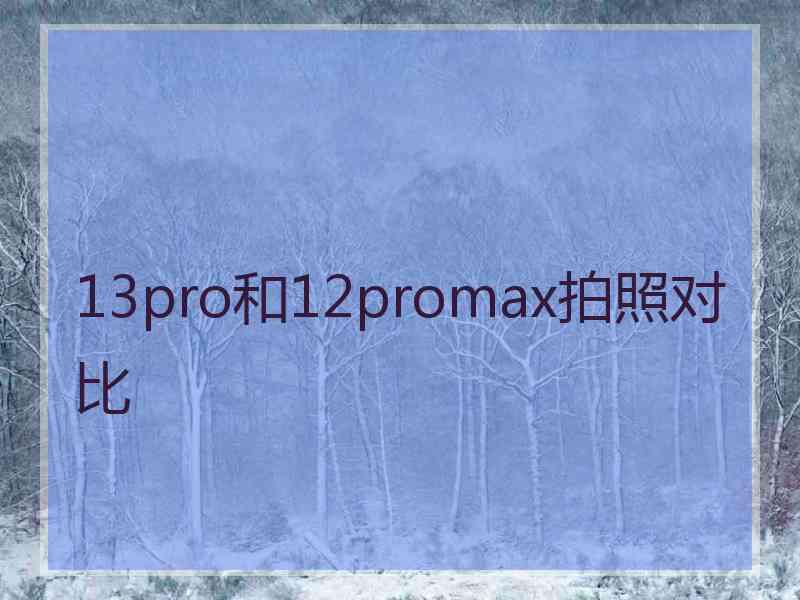 13pro和12promax拍照对比