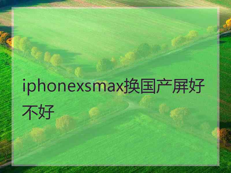 iphonexsmax换国产屏好不好