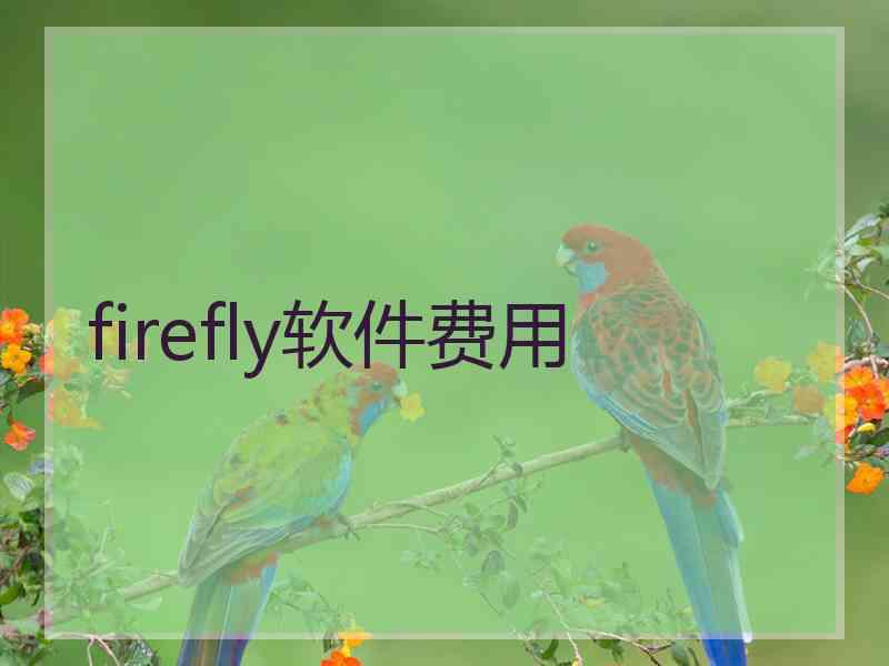 firefly软件费用