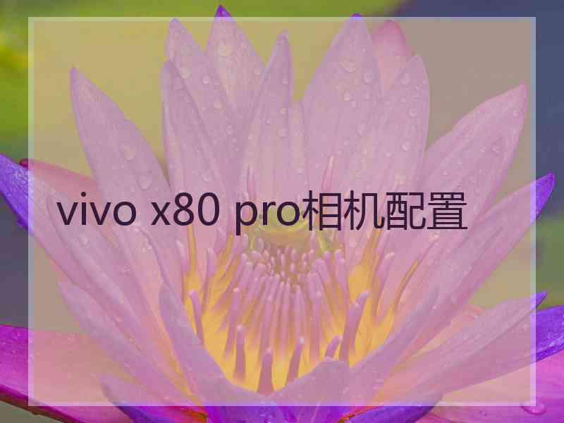 vivo x80 pro相机配置