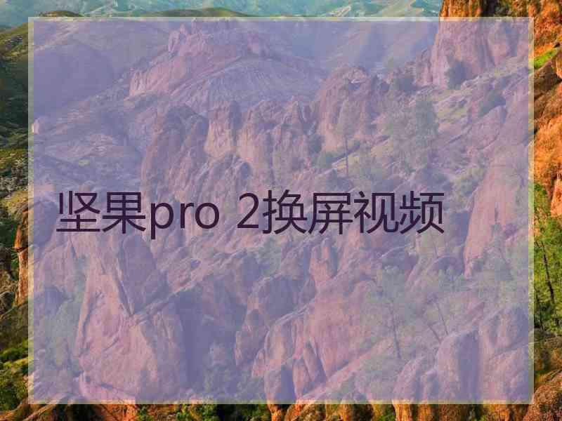 坚果pro 2换屏视频