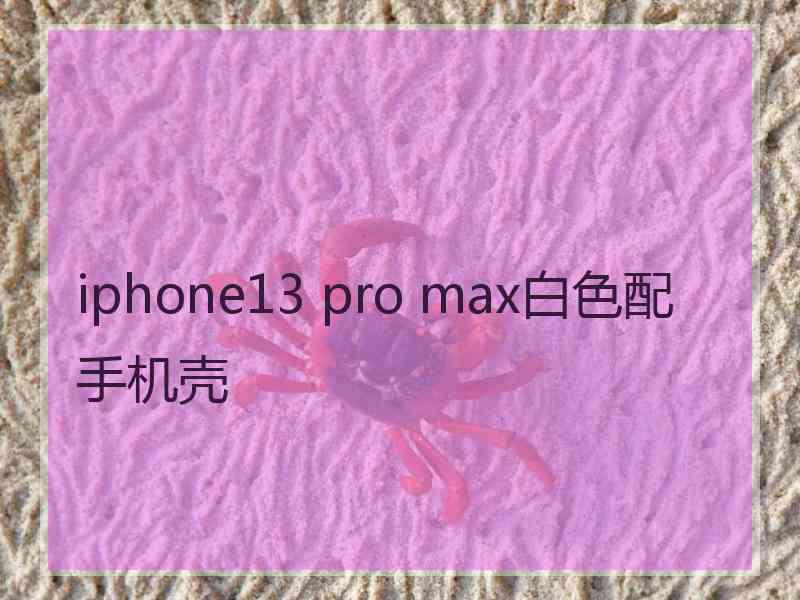 iphone13 pro max白色配手机壳