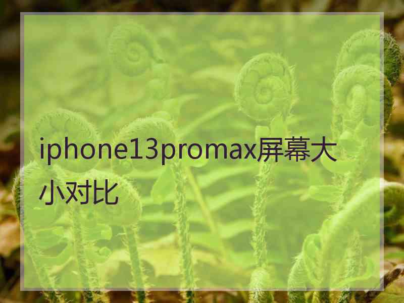 iphone13promax屏幕大小对比