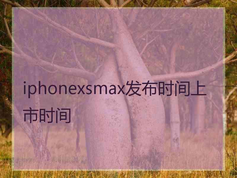 iphonexsmax发布时间上市时间