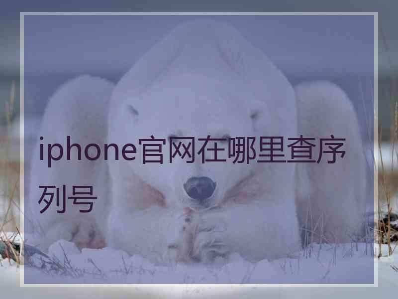 iphone官网在哪里查序列号