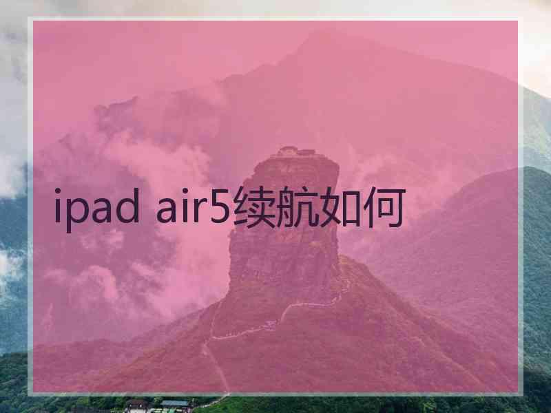 ipad air5续航如何