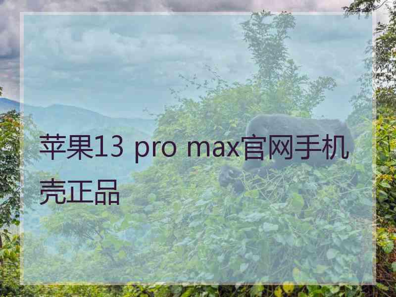 苹果13 pro max官网手机壳正品