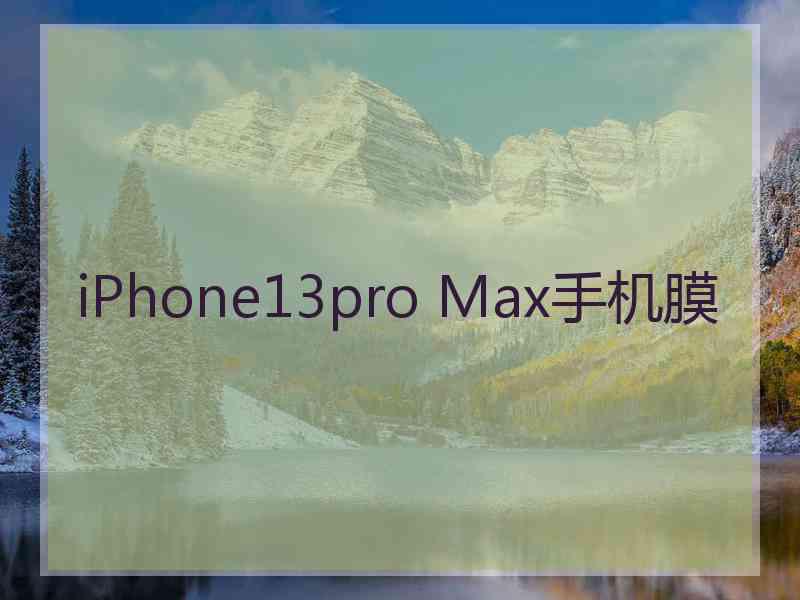 iPhone13pro Max手机膜