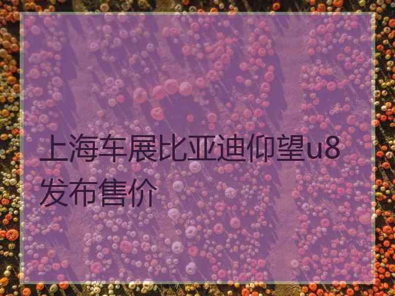 上海车展比亚迪仰望u8发布售价