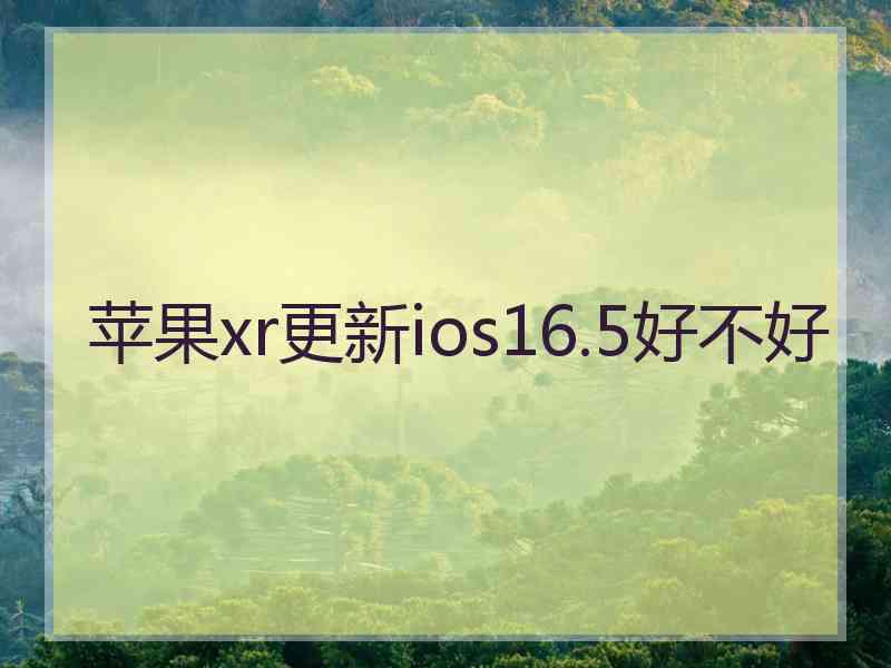 苹果xr更新ios16.5好不好