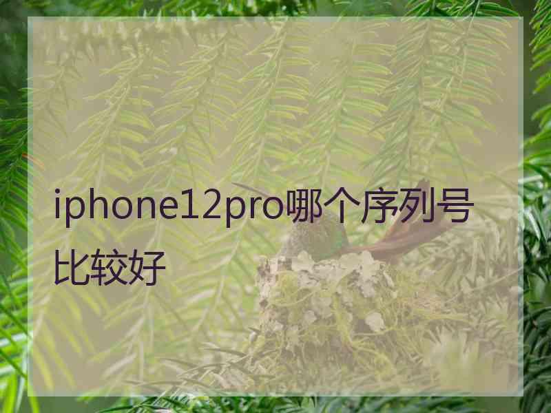 iphone12pro哪个序列号比较好