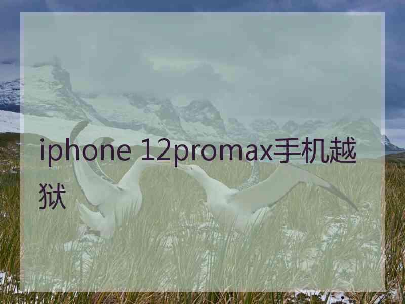 iphone 12promax手机越狱