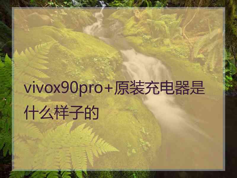 vivox90pro+原装充电器是什么样子的