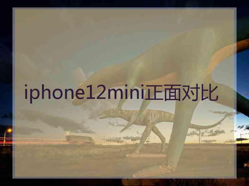 iphone12mini正面对比