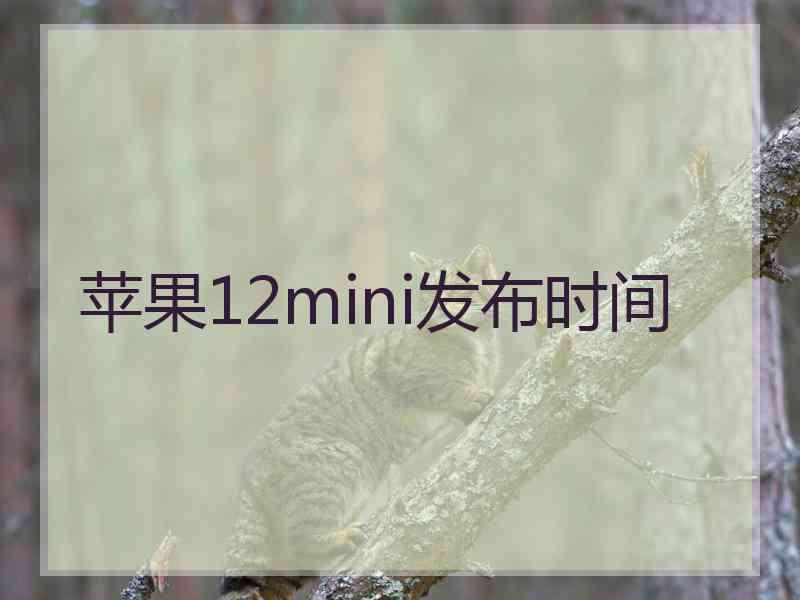 苹果12mini发布时间